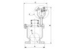 Double-Orifice-Air-Relief-Valve-FIG9101A-2.jpg