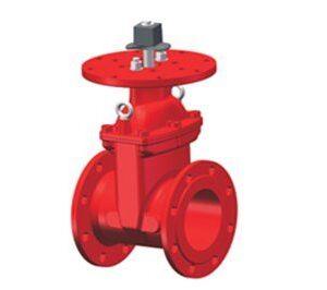 NRS-Resilient-Seated-Gate-Valve-Flanged-Ends-Grooved-Ends-FIGF0299.jpg