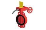 Wafer-Butterfly-Valve-Gear-Operated-F0811-300-CNPP.jpg