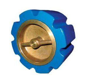 Water-Silent-Door-Check-Valve-FIG5312.jpg